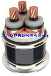 河北华伦兴盛线缆电力电缆产品列表